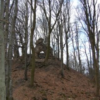Burg Frauenstein - Burg Frauenstein in der ErlebnisRegion Oberpfälzer Wald