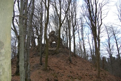 Burg Frauenstein - Burg Frauenstein in der ErlebnisRegion Oberpfälzer Wald