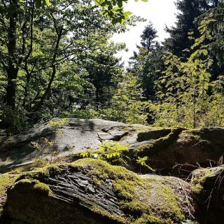 Entenbühl Gipfelfels - Entenbühl in der ErlebnisRegion Oberpfälzer Wald