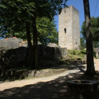 Ruine Schwarzenburg - Ruine Schwarzenburg in der ErlebnisRegion Oberpfälzer Wald