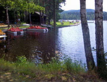 Seen - Badeseen - Waldstrandbad Großer Weiher