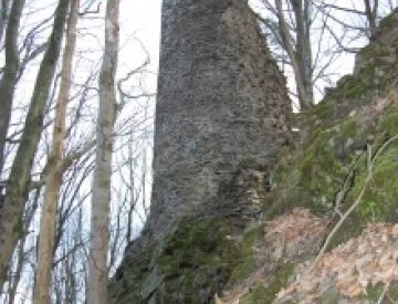 Burgen / Burgruinen - Ruine Reichenstein