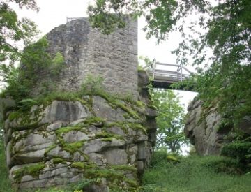 Burgen / Burgruinen - Burg Schellenberg