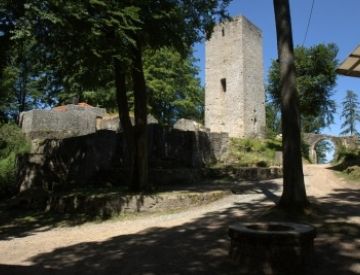 Burgen / Burgruinen - Ruine Schwarzenburg
