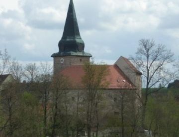 Burgen / Burgruinen - Burg Wildenau